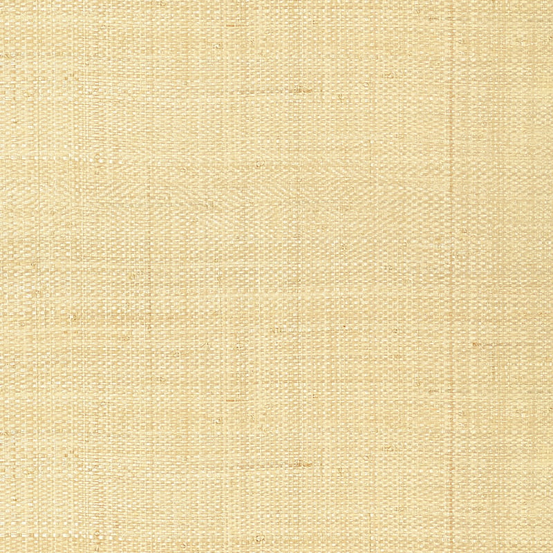 T41106 Thibaut Off White Wallpaper