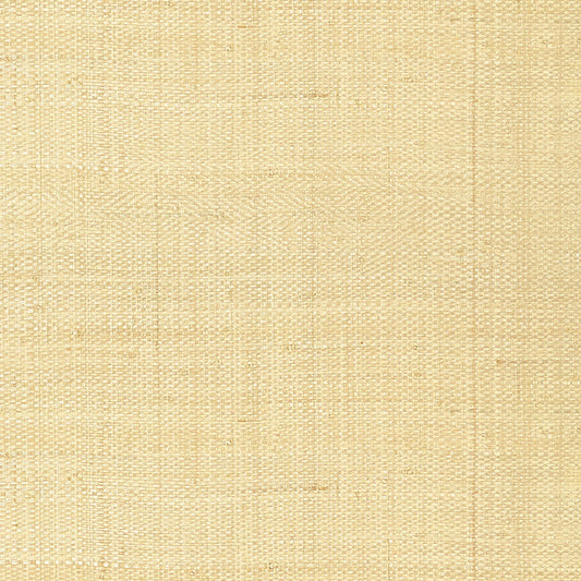 T41106 Thibaut Off White Wallpaper