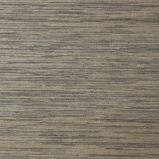T41113 Thibaut Charcoal Wallpaper