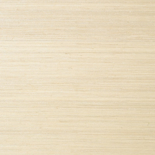 T41116 Thibaut Cream Wallpaper