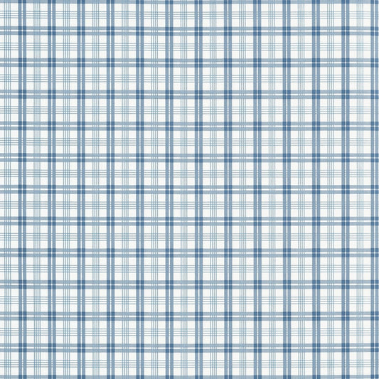 T44056 Thibaut Blue Wallpaper