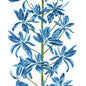 T45032 Thibaut Blue and White Wallpaper