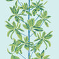 T45033 Thibaut Turquoise Wallpaper