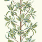 T45034 Thibaut Sage Wallpaper