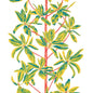T45036 Thibaut Coral Wallpaper