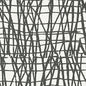 T456 Thibaut Black Wallpaper