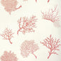 T6867 Thibaut Coral on White Wallpaper