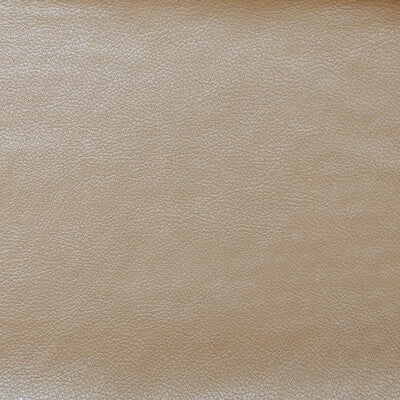 TANTALUM-1 TANTALUM AURA KRAVET COUTURE UPHOLSTERY