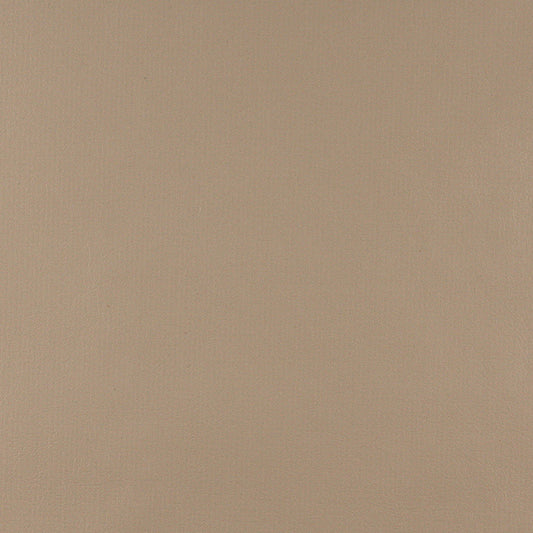 TD-Camel nan Camel nan Charlotte Fabrics Vinyl