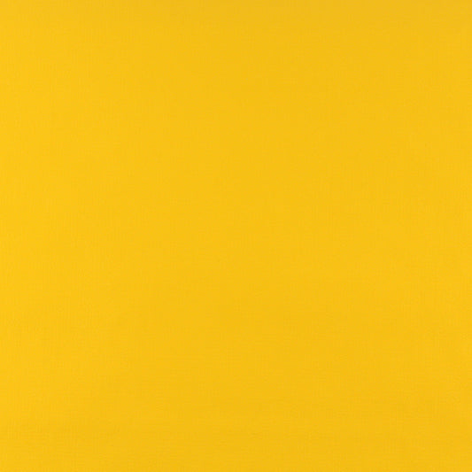 TD-Yellow nan Yellow nan Charlotte Fabrics Vinyl