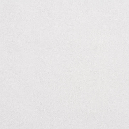 TD-White nan White nan Charlotte Fabrics Vinyl