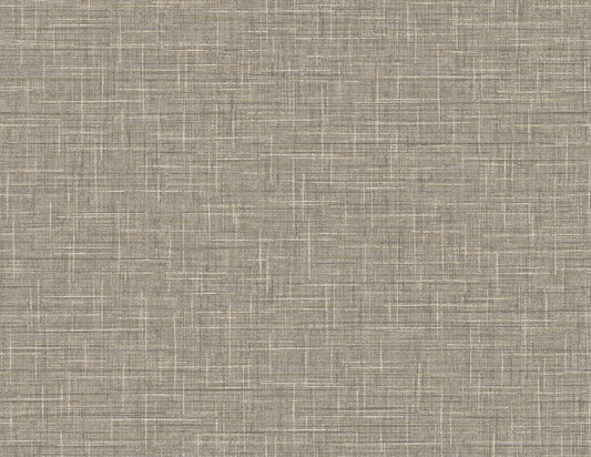 TG60143 DuPont Tedlar Textures Wallpaper Grasmere Weave Cappuccino