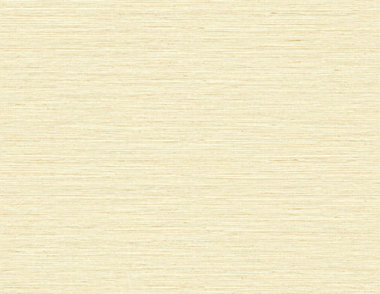 TG60337 DuPont Tedlar Textures Wallpaper Edmond Faux Sisal Sunkissed
