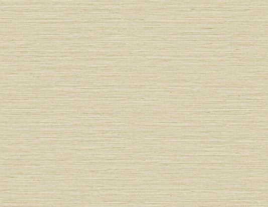 TG60338 DuPont Tedlar Textures Wallpaper Edmond Faux Sisal Barley