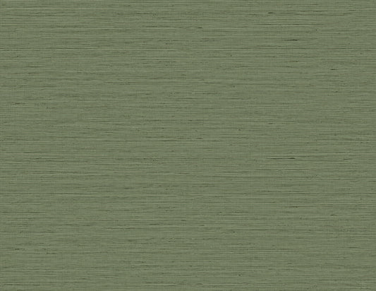 TG60351 DuPont Tedlar Textures Wallpaper Edmond Faux Sisal Faded Jade