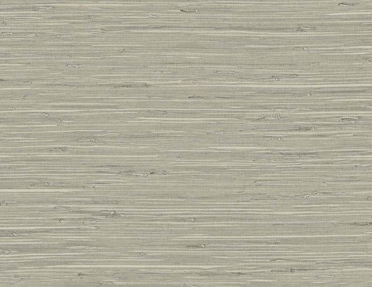 TG60529 DuPont Tedlar Textures Wallpaper Marion Faux Arrowroot Layered Slate
