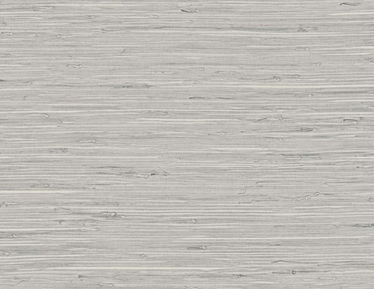 TG60532 DuPont Tedlar Textures Wallpaper Marion Faux Arrowroot Washed Stone