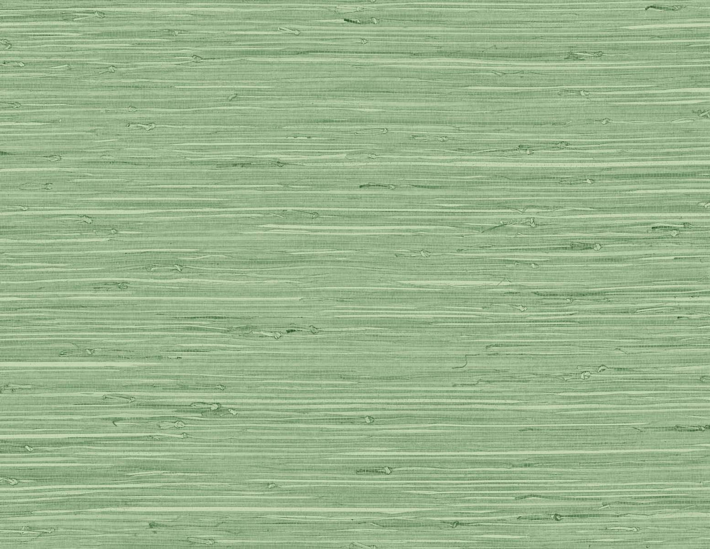 TG60534 DuPont Tedlar Textures Wallpaper Marion Faux Arrowroot Spring Forest
