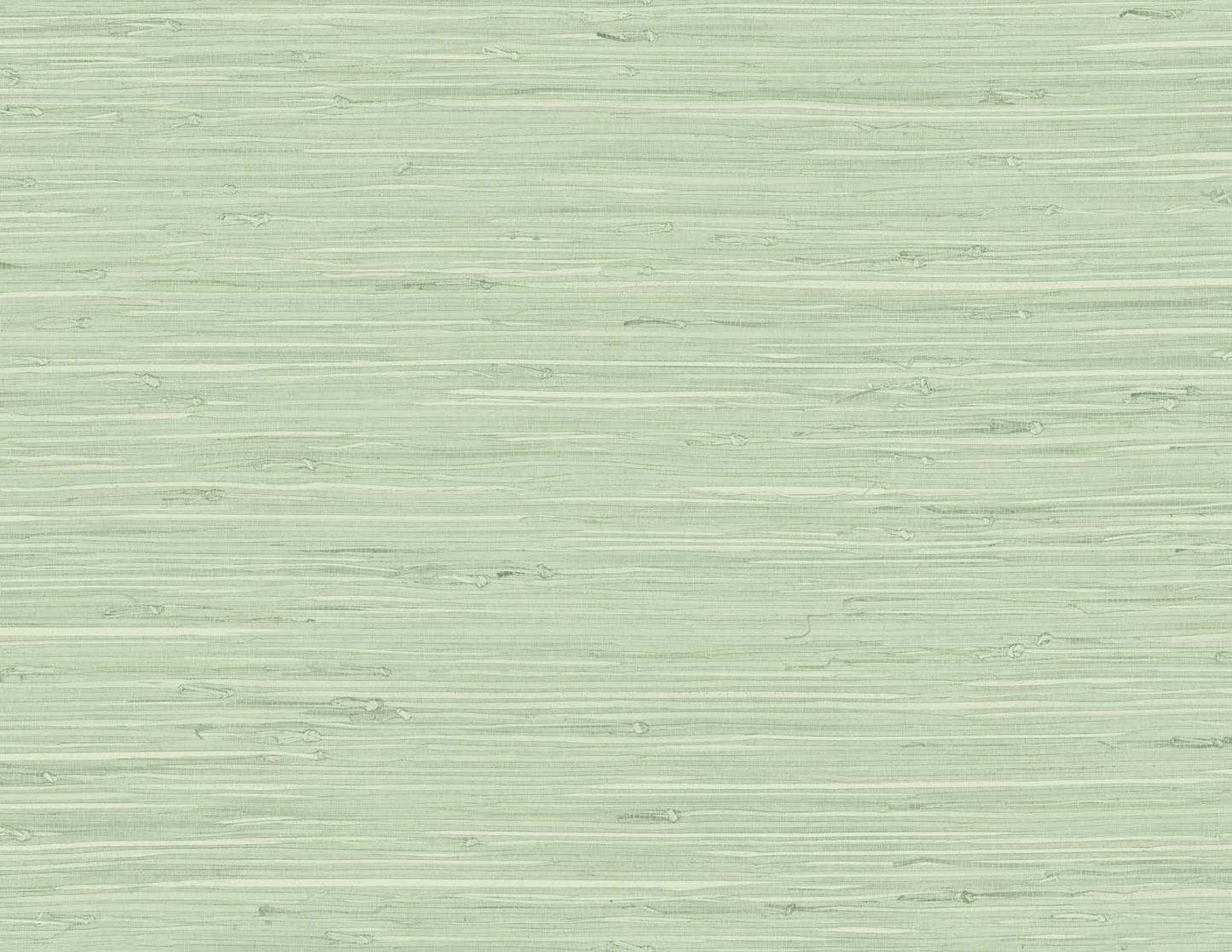 TG60535 DuPont Tedlar Textures Wallpaper Marion Faux Arrowroot Frosted Grass