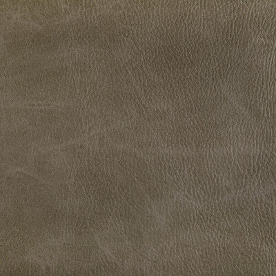 TONI-6 TONI FIELD KRAVET CONTRACT UPHOLSTERY