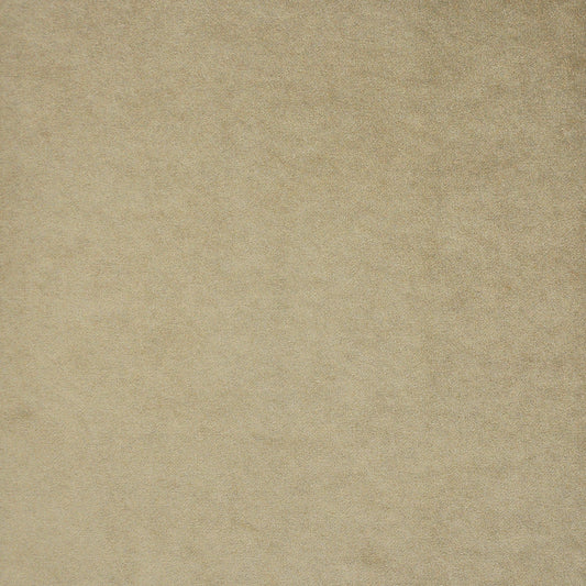 TQ1706 Maxwell VELVET SOLID/TEXTURE # 706 LION VELVETROOM
