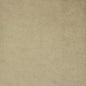 TQ1706 Maxwell VELVET SOLID/TEXTURE # 706 LION VELVETROOM