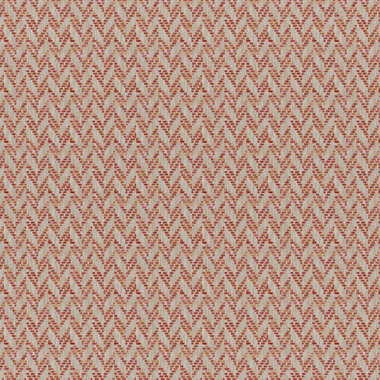 TR6505 Maxwell UPHOLSTERY PATTERNS # 505 FIESTA CG-NECTAR