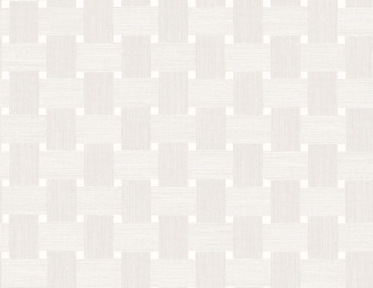 TS81800 Seabrook Designs Even More Textures Wallpaper Basketweave Caster Sugar