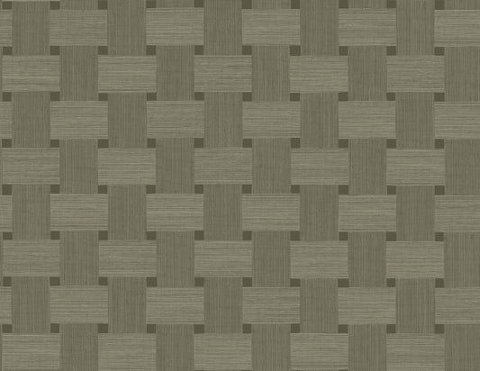 TS81815 Seabrook Designs Even More Textures Wallpaper Basketweave Raw Umber