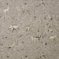 TT5606 Maxwell PRINTS # 606 SAND CT-EDEN