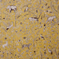 TT5609 Maxwell PRINTS # 609 TUSCAN CT-EDEN