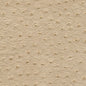 TV3305 Maxwell FABRIC # 305 HUSK MO-COATEDFABRICS