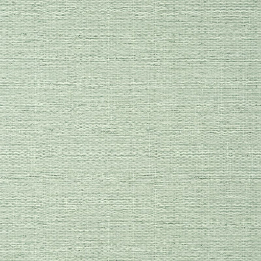 TWW10928 Thibaut Evergreen Wallpaper