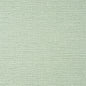 TWW10928 Thibaut Evergreen Wallpaper