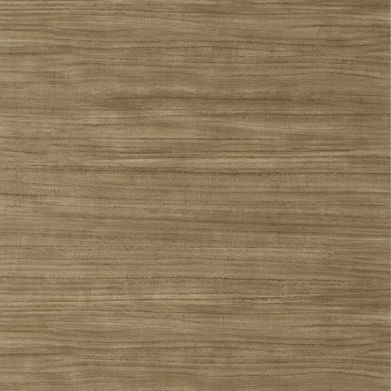 TWW10986 Thibaut Brown Wallpaper