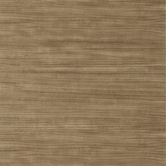 TWW10986 Thibaut Brown Wallpaper