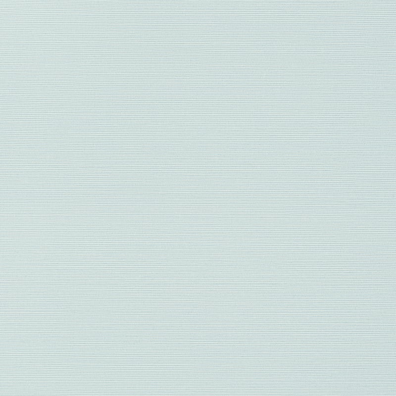 TWW284 Thibaut Robin's Egg Wallpaper