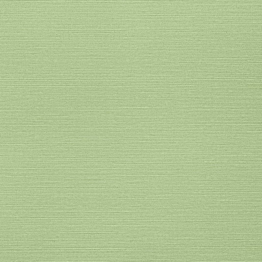 TWW287 Thibaut Spring Wallpaper
