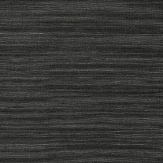 TWW75152 Thibaut Black Wallpaper