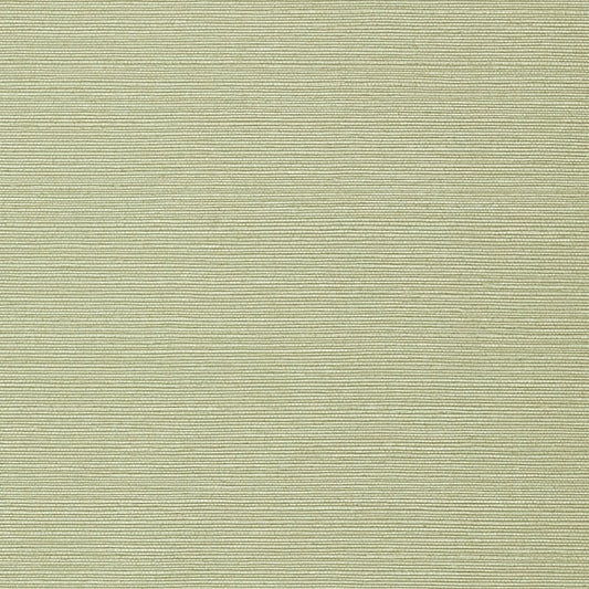 TWW75153 Thibaut Willow Wallpaper