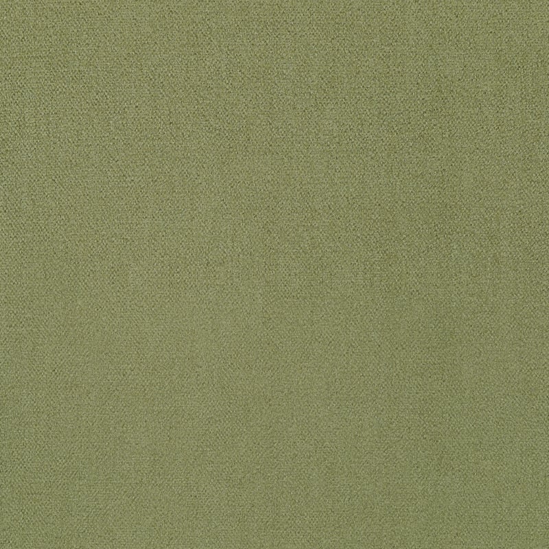 U13001 Coraggio Olive Fabric