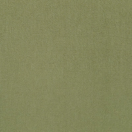 U13001 Coraggio Olive Fabric