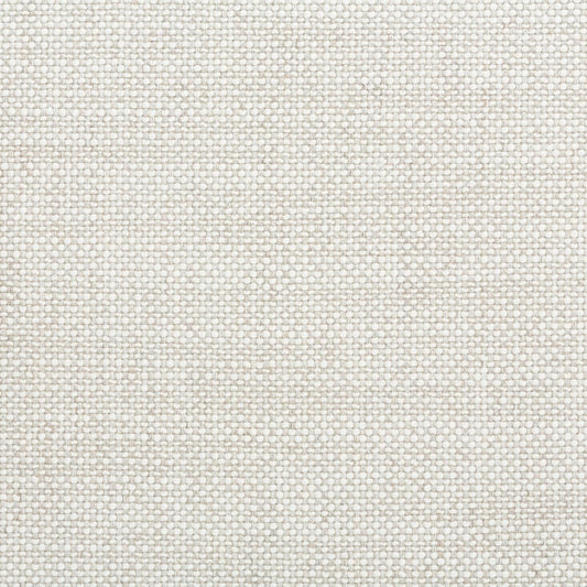 U19101 Coraggio Silver/White Fabric
