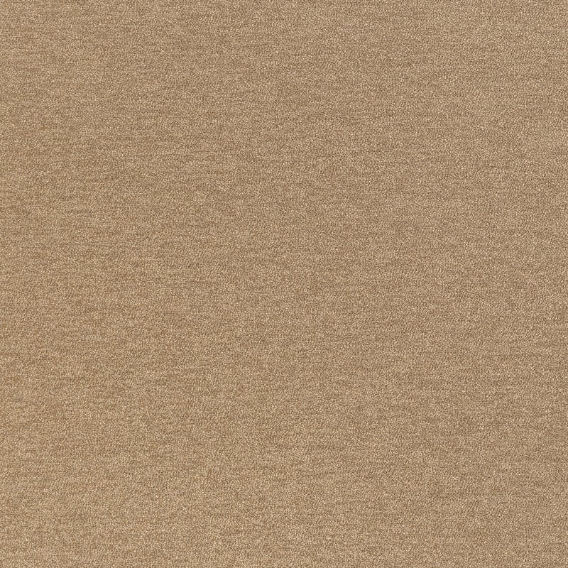 U98085 Coraggio Camel Fabric