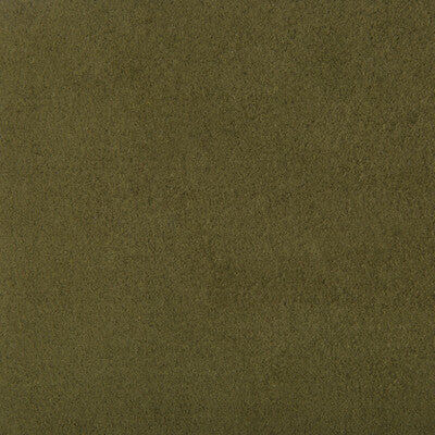 ULTRASUEDE-30 ULTRASUEDE SAP KRAVET DESIGN UPHOLSTERY