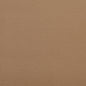 V125 Leather Grain,Plain & Solid Dune Brown Charlotte Fabrics Vinyl