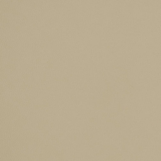 V159 Leather Grain,Plain & Solid Khaki Beige & Taupe Charlotte Fabrics Vinyl