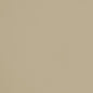 V159 Leather Grain,Plain & Solid Khaki Beige & Taupe Charlotte Fabrics Vinyl