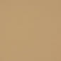 V222 Leather Grain,Plain & Solid Fawn Beige & Taupe Charlotte Fabrics Vinyl