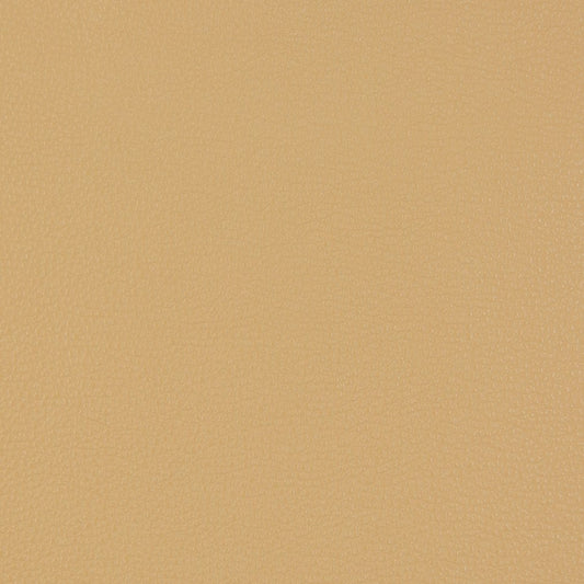 V229 Leather Grain,Plain & Solid Beach Beige & Taupe Charlotte Fabrics Vinyl